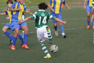 九游体育-基层足球发展资源分配不均  第3张